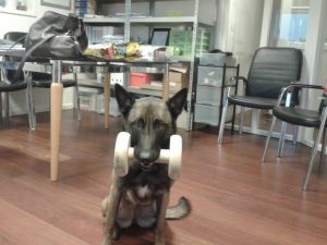 284596 319233864854423 65774310 n