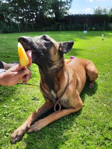 285133118 2212232268955255 6733017403495555820 n