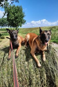 285538644 1113526375868421 6770836999667028004 n