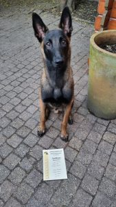 287063458 1487284035039158 3610437082113796313 n