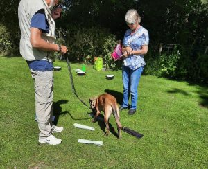 287577384 5743547212342042 7986776604004784497 n