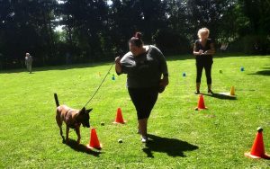 287623919 5743547115675385 8846636308676983461 n