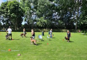 287736671 5743546322342131 3890291771239797517 n