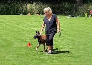 287736671 5743546322342131 3890291771239797517 n 1