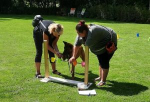 287787177 5743547015675395 2330650889040998652 n