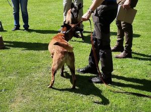 287837909 5743547375675359 8865322656953839964 n