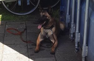 287867318 5743547355675361 3947430305763557373 n