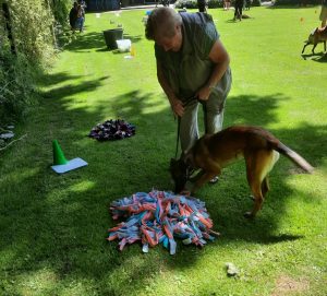 287877604 5743546959008734 3830672850305643077 n