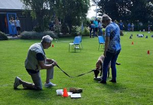 287891663 5743547249008705 3280204621964889704 n