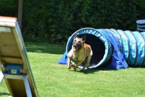 288446301 5755479907815439 7446147636154272093 n