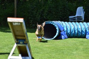 288493592 5755465967816833 2695588118746743551 n