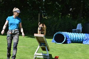 288510886 5755466484483448 5395558344715457501 n