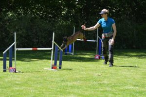 288596648 5755475924482504 555661548098054781 n