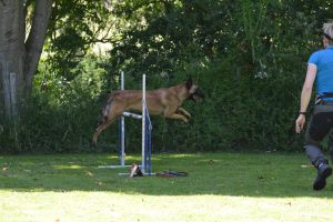 288600841 5755480541148709 175944884902327798 n