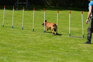 288632096 5755479634482133 6773030564871489878 n