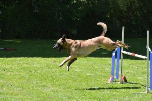 288632137 5755479601148803 361828918927762153 n