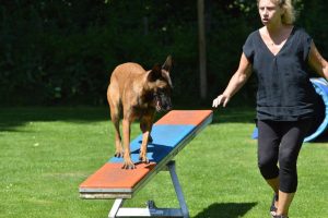 288635996 5755480021148761 5372874971269288772 n