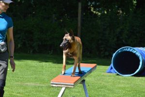 288641010 5755476871149076 5518106474302059801 n