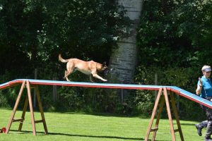 288651212 5755465614483535 7965960483661192191 n