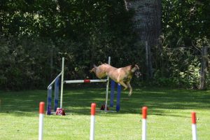 288651630 5755467261150037 3086761644217199817 n