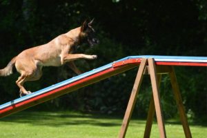 288657429 5755479924482104 7318778863642986452 n