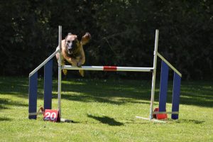 288670008 5755480374482059 6583852388221602507 n