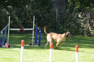 288670671 5755476417815788 177892253612819740 n