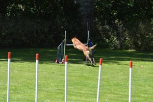 288708382 5755479131148850 713884303235319762 n