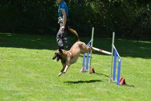 288719564 5755465987816831 1363288041405397059 n