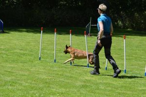 288730790 5755467201150043 1827117015567706722 n