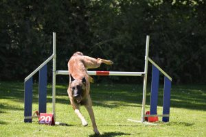 288736767 5755480631148700 948263322350688623 n