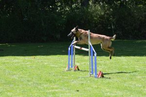 288736923 5755478844482212 2288604619191880603 n