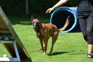 288748748 5755476494482447 453634337201179986 n