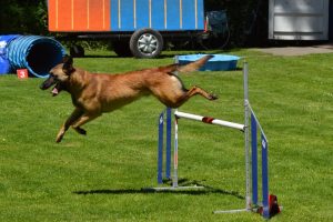 288772728 5755465501150213 5538298282191994490 n