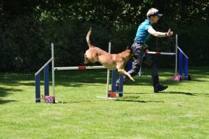 288832912 5755475864482510 4002396074380285367 n