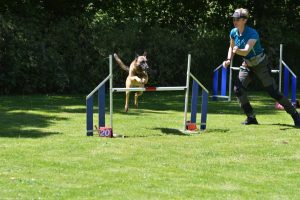 288852479 5755477657815664 7326784857456988580 n