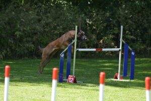 289041133 5755479984482098 2016680854152923885 n