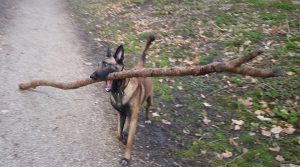 29028246 443875969379975 6257178660579573760 o