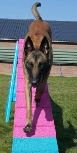 29386917 446883715745867 3952161436137947136 n