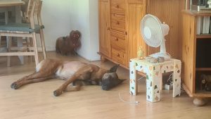 294369871 2168060320064695 2798573336914963300 n