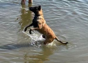 294497662 6045371422146346 3466434084516233510 n