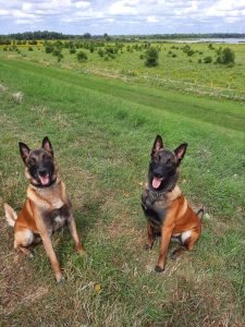 295221939 1143763176178074 5899728481907738115 n 1