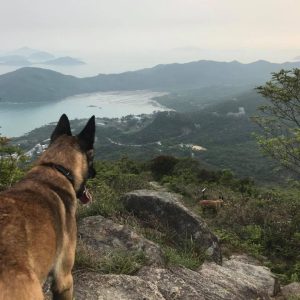 29573112 2128963273992308 4771462987555190385 n