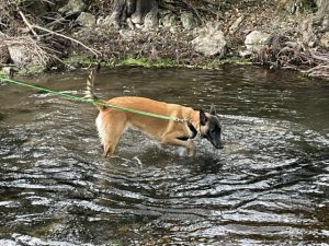 295734055 6067995646550590 4964166628406449608 n