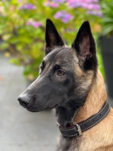 295985667 10228061880430663 6328326019711161728 n