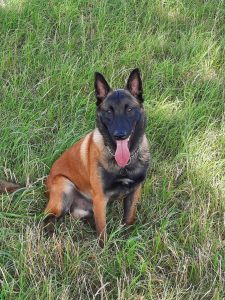 296709308 1147751259112599 6199469824180453344 n 1