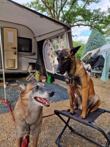 296748659 5321878117919223 4428158160912629641 n