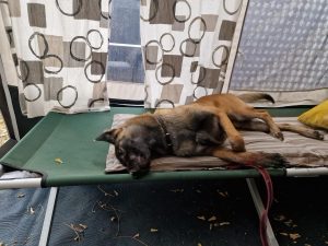 297633833 5321877651252603 1718977541647186322 n