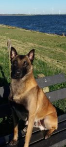 297854512 1155307891690269 8724106175809718647 n