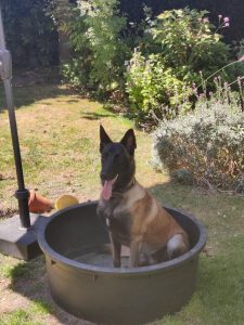 298588183 10228129415318993 8404911600991908746 n